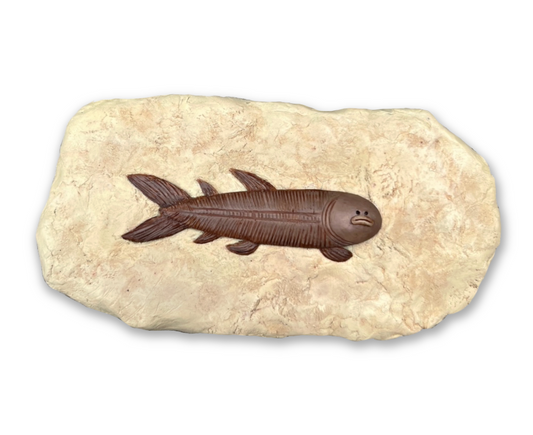 Fossil Friend - Sardine