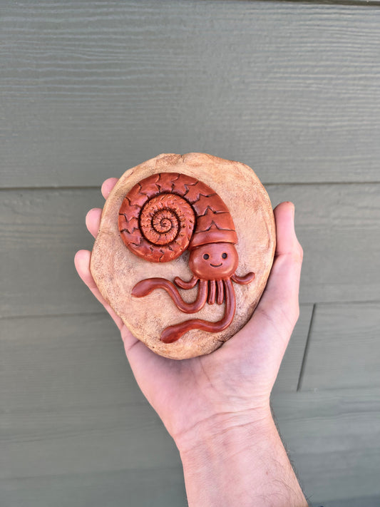 Fossil Friend - ammonite
