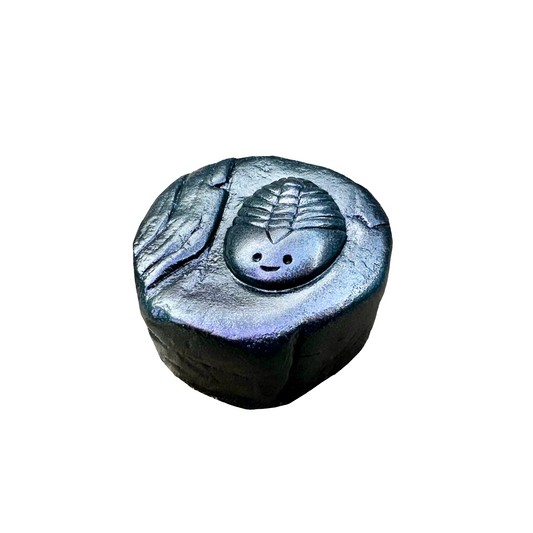 Fossil Friends - Trilobite (Obsidian)