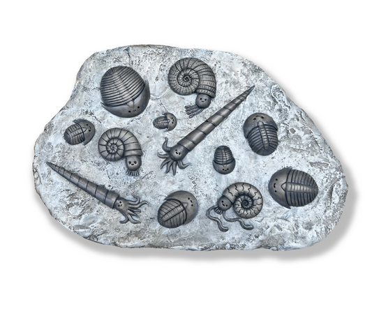 Paleozoic Party
